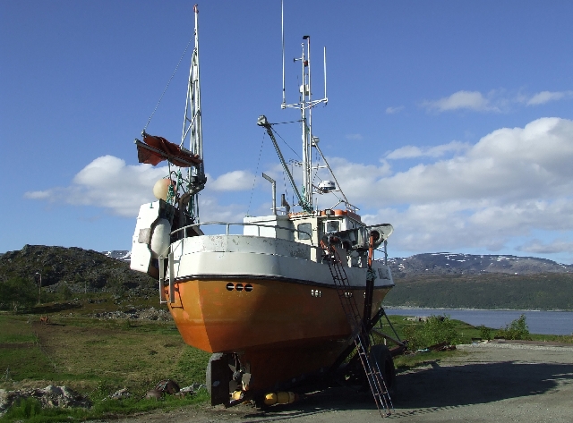 Boats Everywhere.JPG